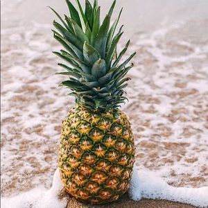 Meet your Posher, Ella